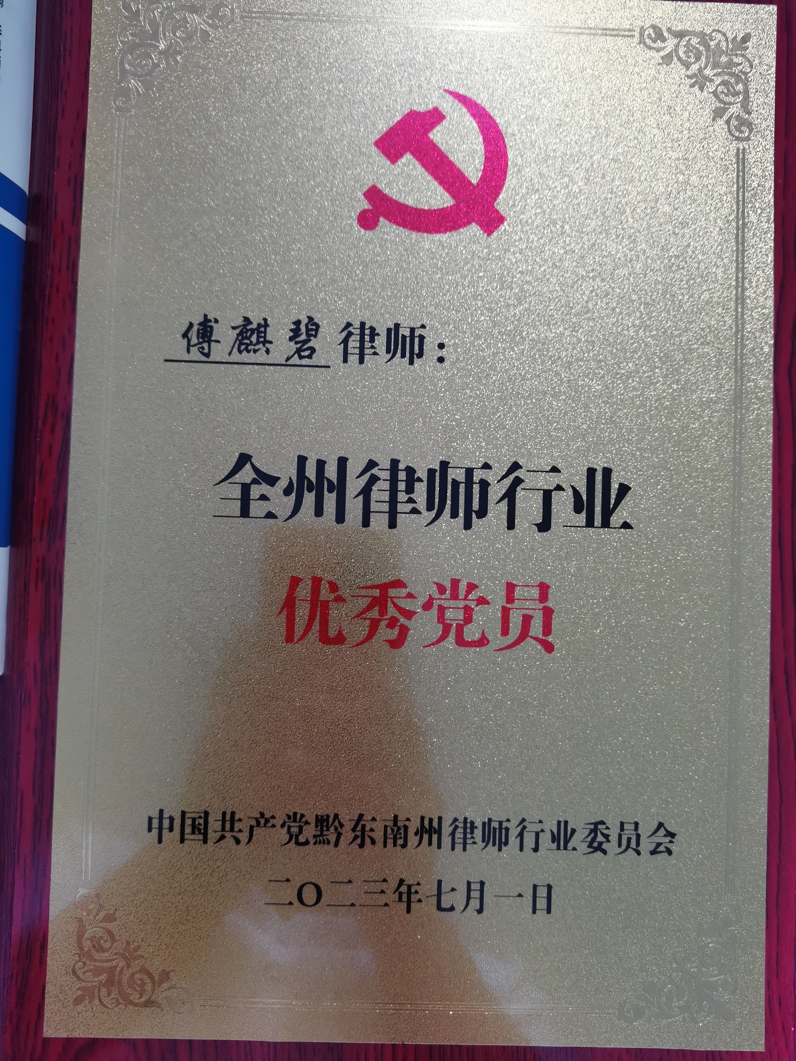 傅麒碧優秀黨員(yuán)律師(shī)